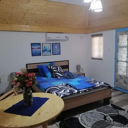 Casa De Vacanta Amira Case de vacanță
